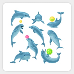 dolphin set playing Magnet